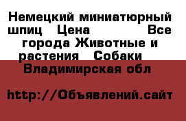 Немецкий миниатюрный шпиц › Цена ­ 60 000 - Все города Животные и растения » Собаки   . Владимирская обл.